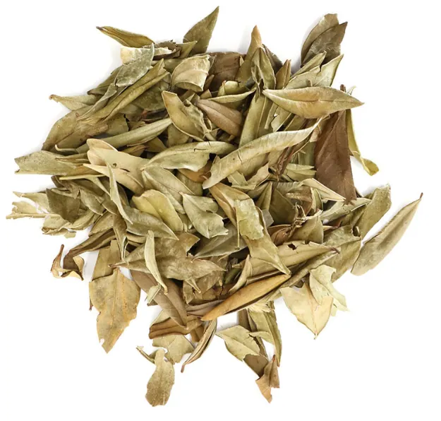 MERSİN YAPRAĞI