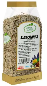 Lavanta