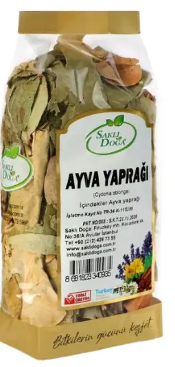Ayva Yaprağı