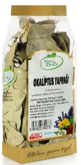 Okaliptus