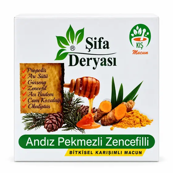 ANDIZ PEKMEZLİ ZENCEFİLLİ KIŞ MACUNU